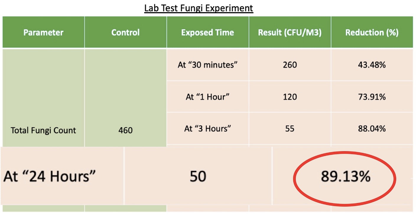 Fungi experiment. Fungi reduced by 90% over 24 hours
