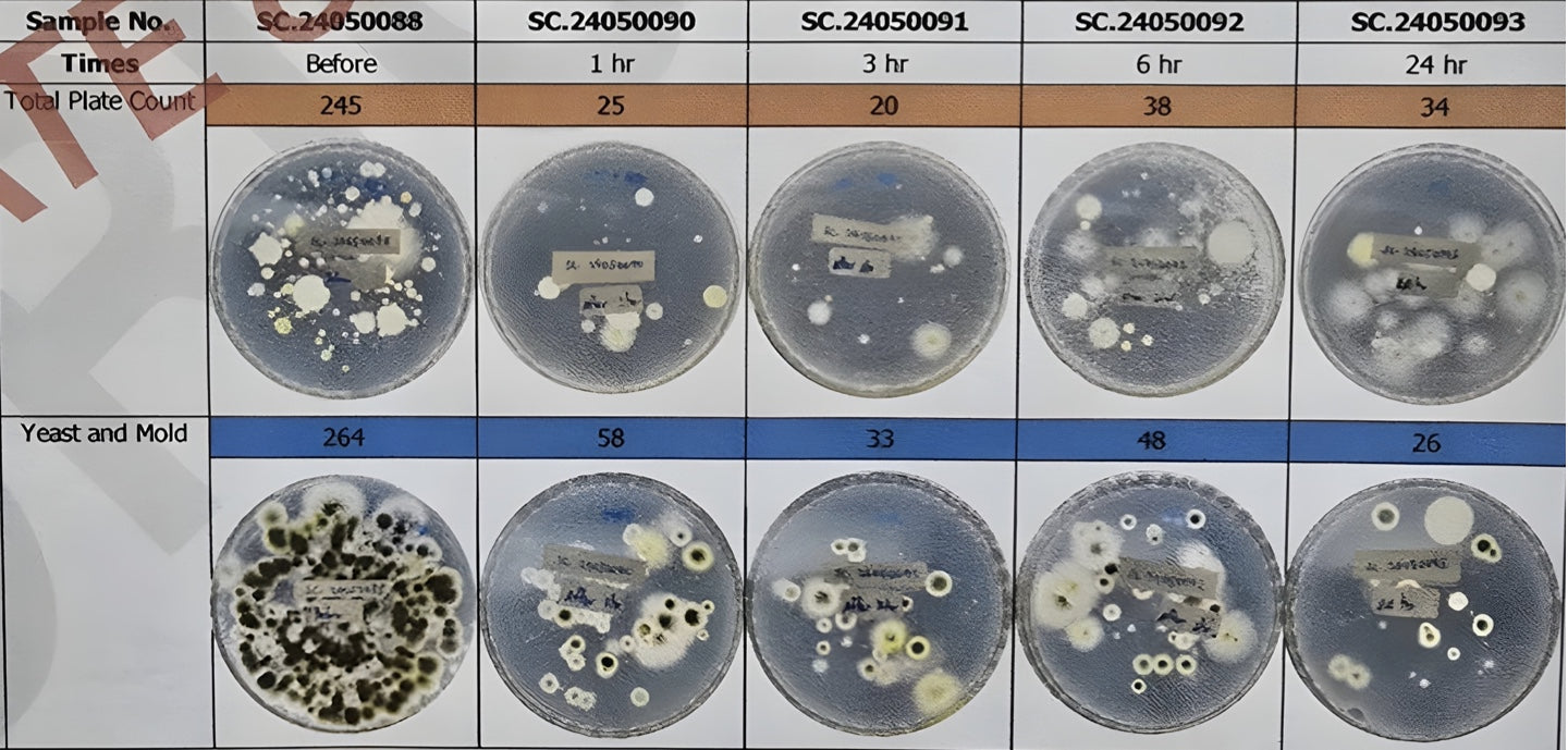 Mould experiment. Mould reduced by 90% in 24 hours